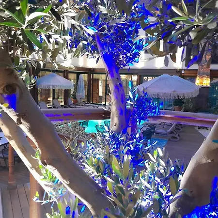 Belmondo Hare Old Town *